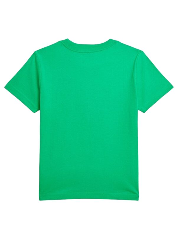 322853828029 VINEYARD GREEN_2.JPG